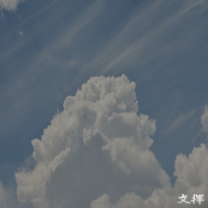 네트워크 로펌